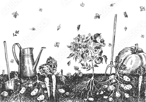 Garden patch of autumn vegetables