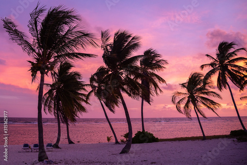 Tropical pink and purple sunset over ocean