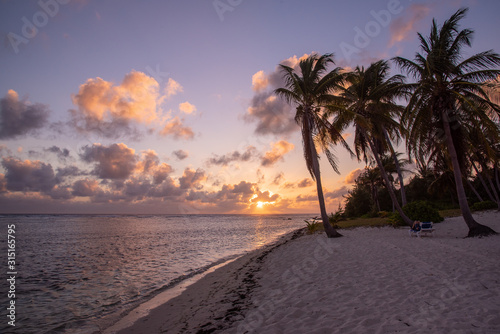 Sunset and palm trees on tropical beach by calm ocean