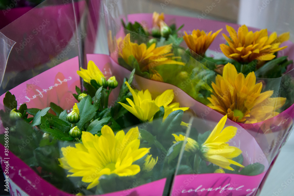 Beautiful colorful chrisantemum in a flowershop, close-up, blooming bouquet decoration for present