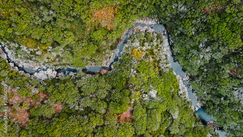 Aerial drone view looking water stream running through the tall trees of the forest in "Paul da Serra", Madeira island, Portugal