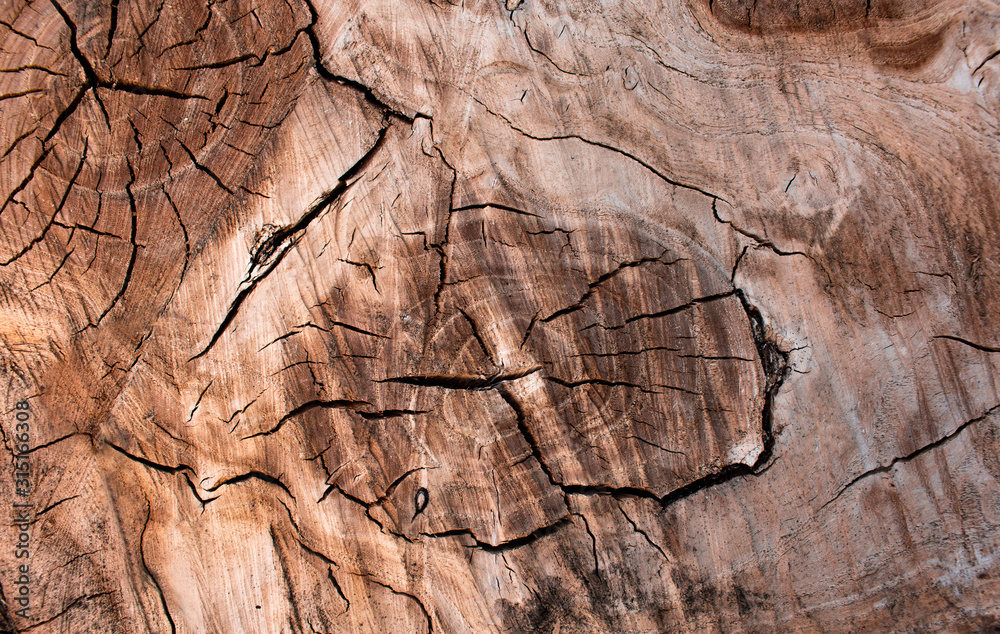 Brown, cracked, wooden hemp texture Brown, cracked, wooden hemp texture