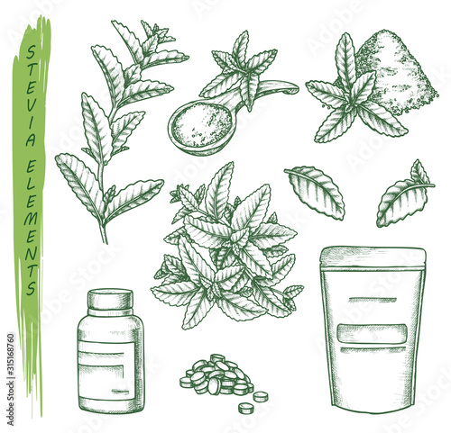 Sketch of stevia plant and pills, scoop and pack