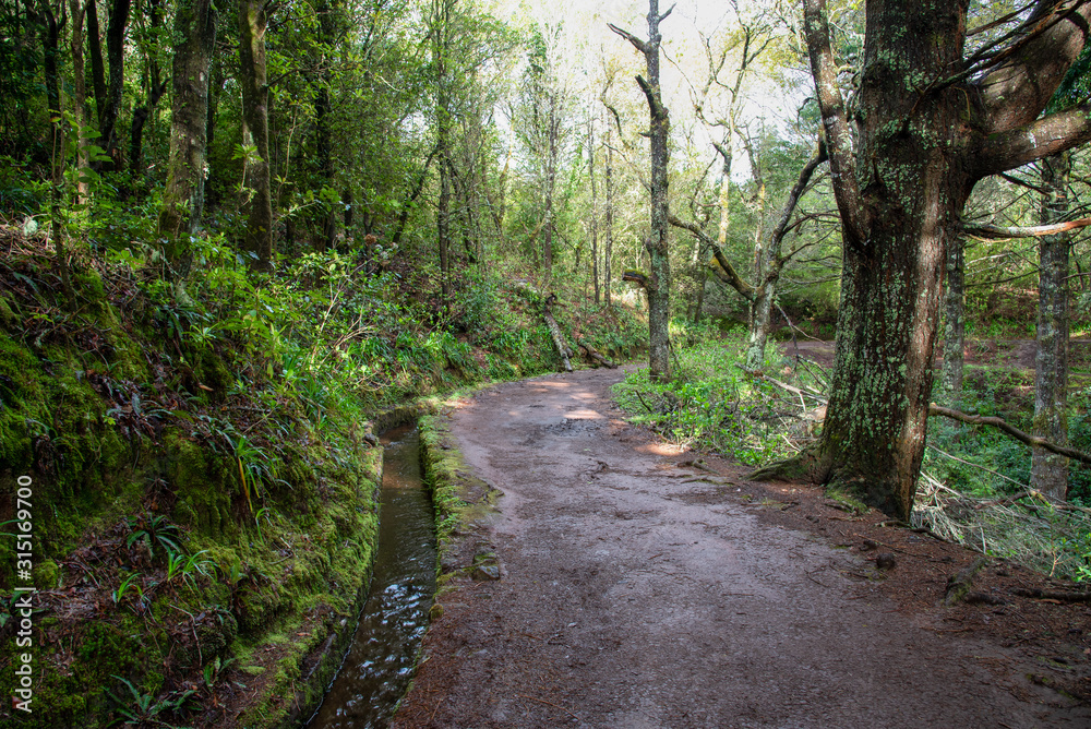Hiking path on the Levada do Caldeirao Verde near Santana on the island of Madeira in Portugal. Hiking path on the Levada do Caldeirao Verde near Santana on the island of Madeira in Portugal.