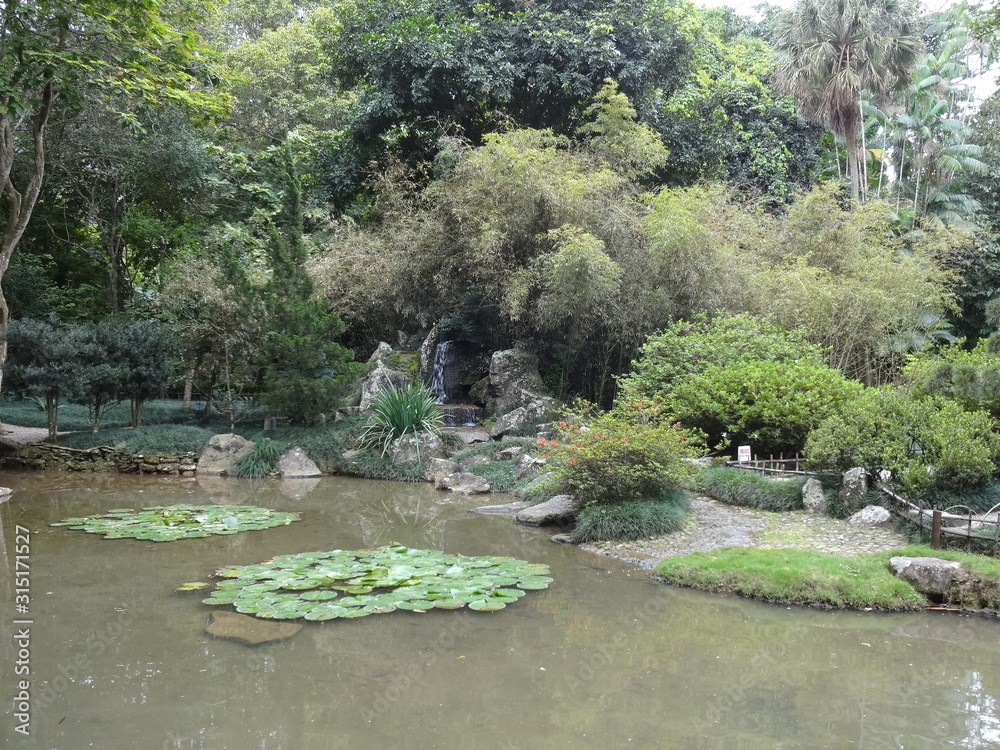 japanese garden in spring - jardim botânico