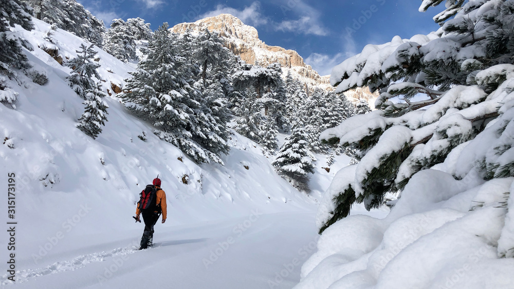an image of a man's diary of an excursion, hiking and adventure in the snowy mountains