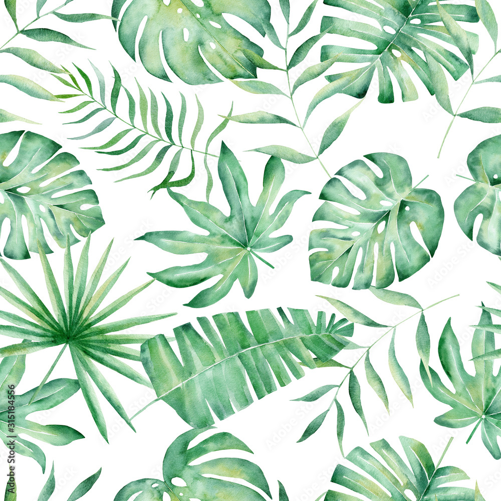 Monstera, palm and fern leaves hand drawn seamless pattern illustration