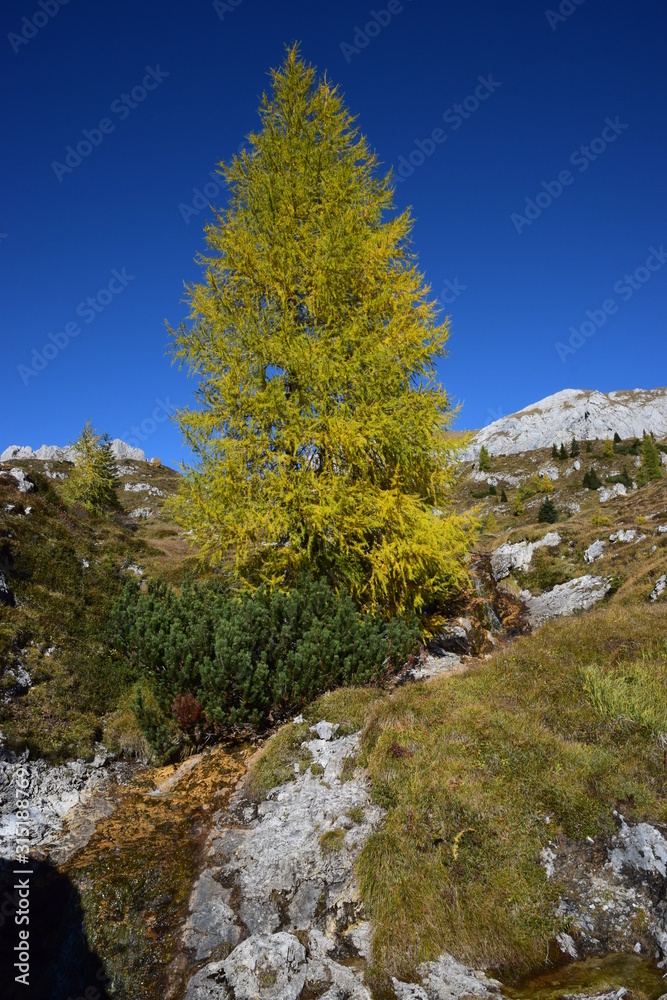 Alpi Carniche - Monte Lastroni e Laghi d'Olbe Alpi Carniche - Monte Lastroni e Laghi d'Olbe
