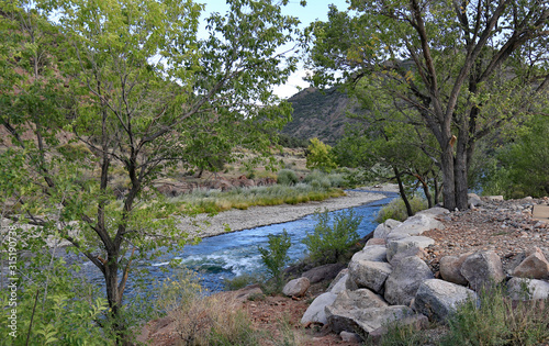 Mountain stream in Colorado