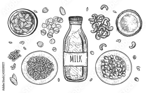 Nut milk beverage hand drawn set