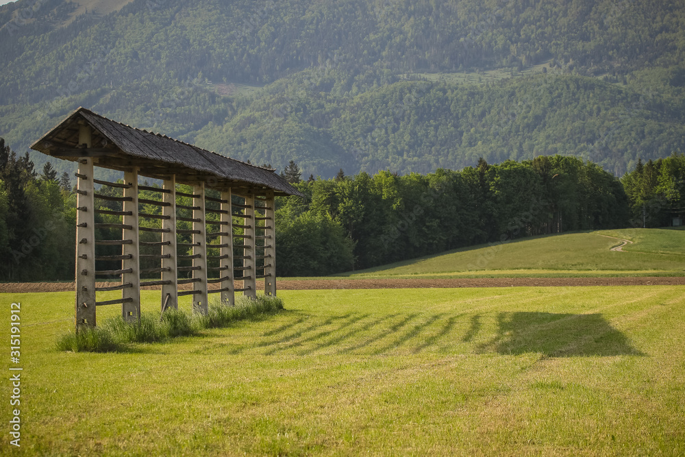 Traditional slovenian hayrack standing in the summer meadow in gorenjska region. shadow of a hayrack is cast on the grass to the right. Traditional slovenian hayrack standing in the summer meadow in gorenjska region. shadow of a hayrack is cast on the grass to the right.