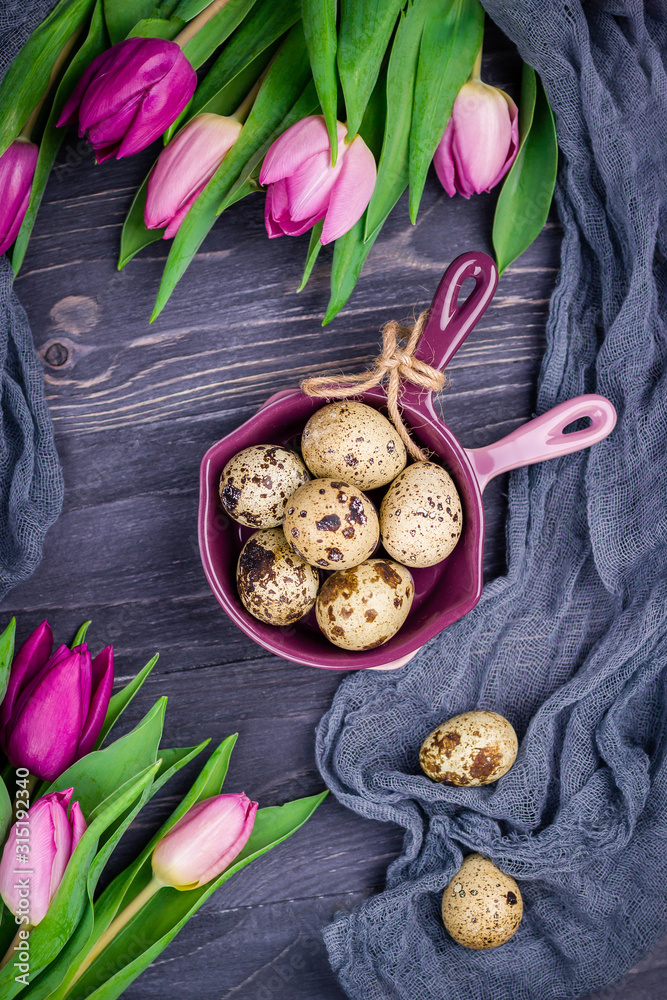 Spotted quail eggs and pink spring flowers tulips on a gray wooden background. Top view