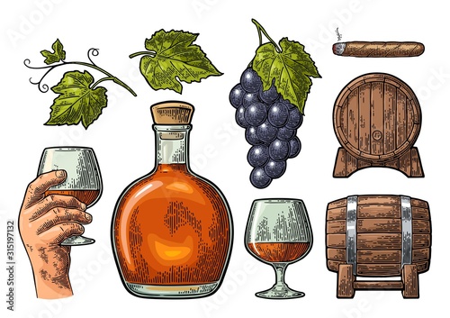 Glass, barrel and bottle of cognac. Vintage engraving illustration
