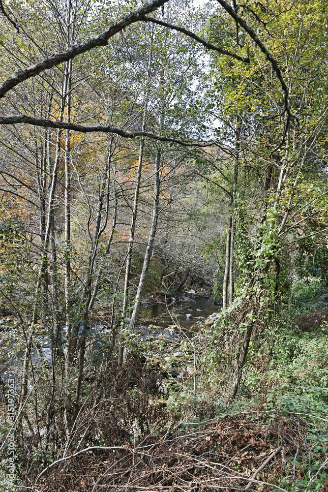Fototapeta premium Struilitsa eco path at Devin river gorge, Rhodope Mountains