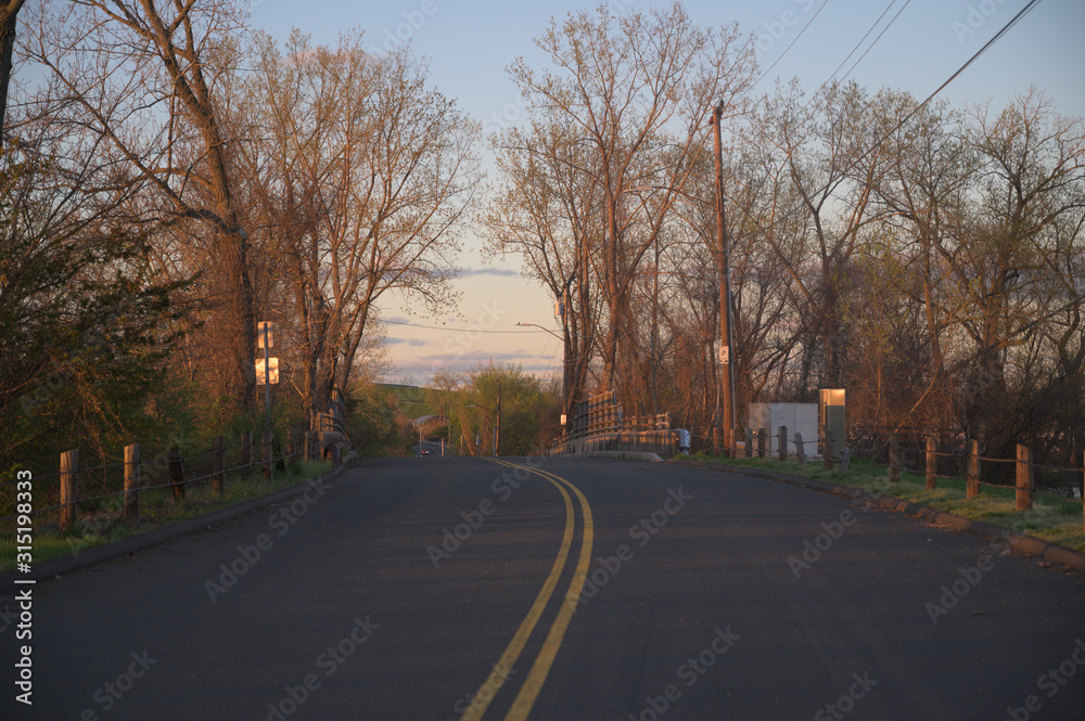 a warm orange sunset bathes some budding trees as a paved road winds underneath them