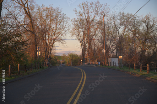 a warm orange sunset bathes some budding trees as a paved road winds underneath them