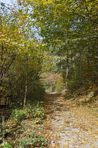 Struilitsa eco path at Devin river gorge  Rhodope Mountains