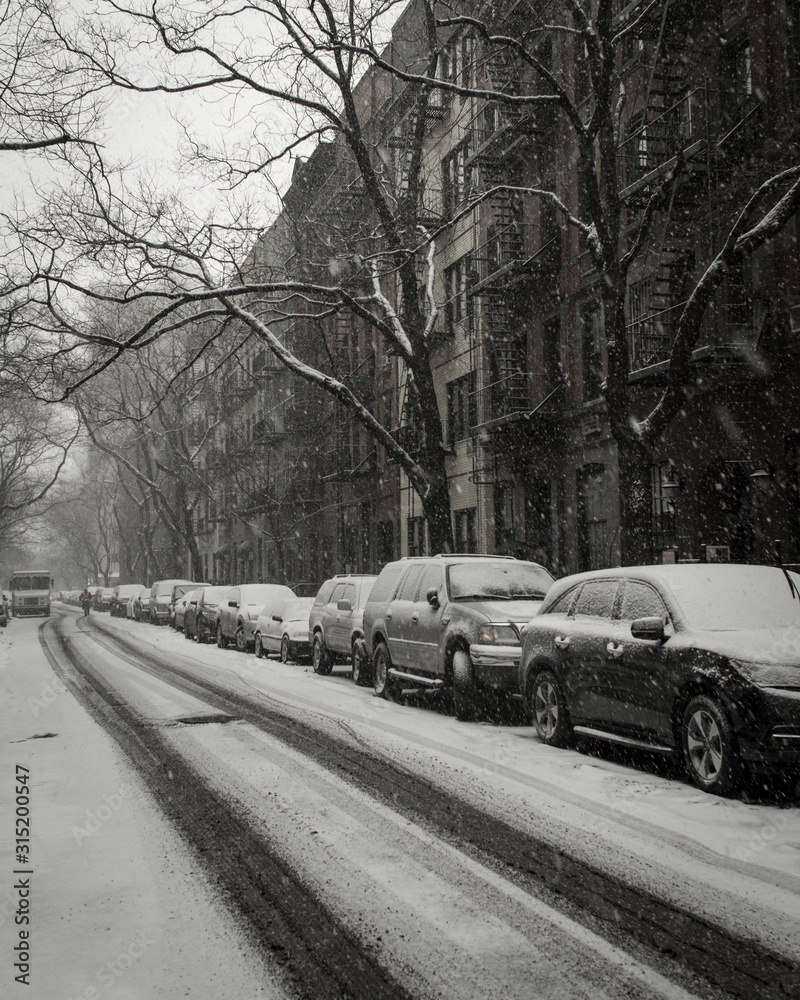 Snow Covered New York City 