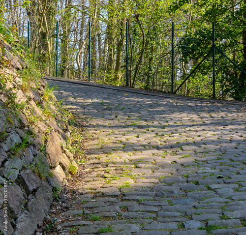 Flandres Cobblestone Road photo