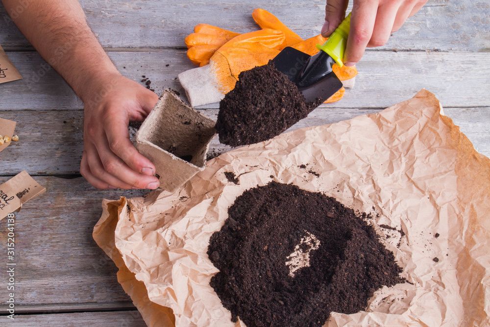 Man's hands sowing and burying seeds with trowel to soil in pot