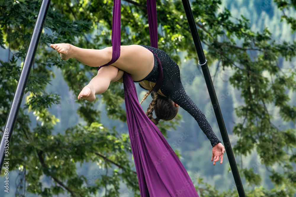 An elegant gymnast is seen suspended in a forest, using aerial silks ...