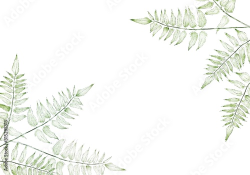 Fern card greenery for design  great for wedding invites  anniversary  birthday  greeting cards