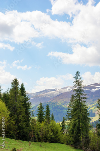 Carpathians countryside in springtime. wonderful sunny weather with dynamic cloud formations on the blue sky. forested rolling hill with rural fields in evening light. 