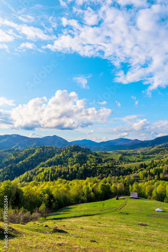 Carpathians countryside in springtime