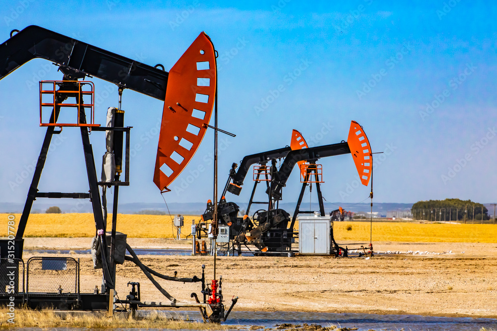 Fototapeta premium A group of pumpjacks are seen over oil wells in countryside of Alberta, Canada. Details of the nodding heads, walking beam, samson post and bridle rod