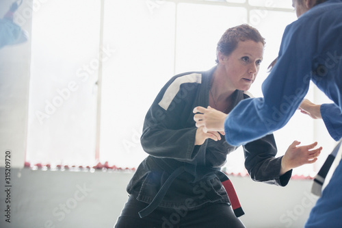 Determined, tough woman practicing judo in gym photo
