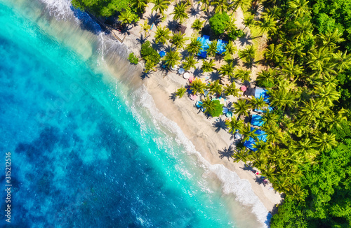 Indonesia. Coast with palms as a background from top view. Turquoise water background from drone. Summer seascape from air. Travel - image © biletskiyevgeniy.com