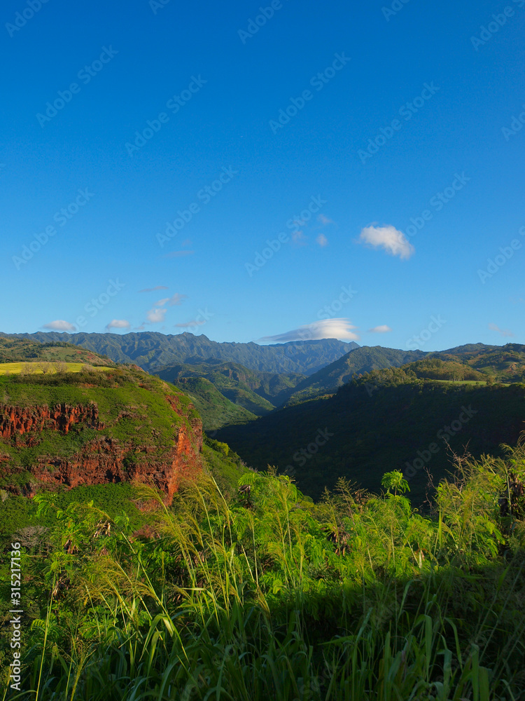 Fototapeta premium Waimea Canyon State Park in Hawaii