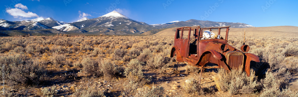 Deserted Car with Cow Skeleton, Great Basin, Nevada