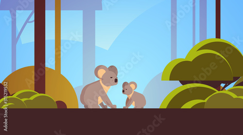 Photography koalas mother with young joey walking in forest australian wild animal wildlife