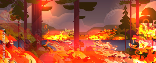 dangerous wildfire bush fire development dry woods burning trees global warming natural disaster concept intense orange flames landscape background horizontal vector illustration