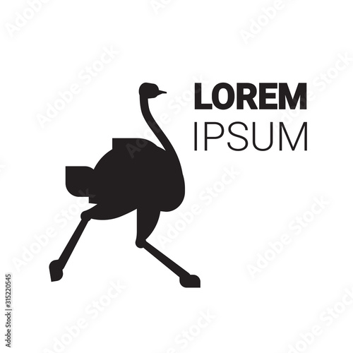 ostriches running from australia forest fires bush fire natural disaster concept wild animals dying in wildfire emu symbol vector illustration