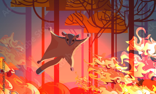 sugar glider escaping from fires in australia animals dying in wildfire bushfire natural disaster concept intense orange flames horizontal vector illustration