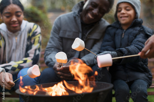 Grandfather and grandchildren roasting marshmallows at campfire photo