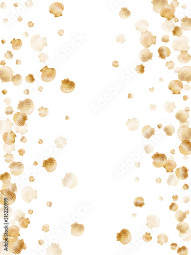 Gold seashells isolated, pearl bivalved mollusks