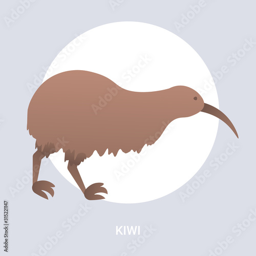 brown kiwi icon cartoon endangered wild australian animal symbol wildlife species fauna concept flat vector illustration