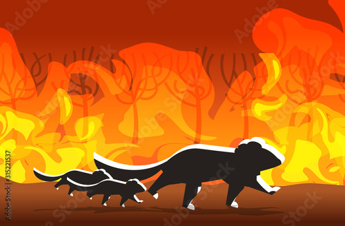 tasmanian devils silhouettes running from forest fires in australia animals dying in wildfire bushfire burning trees natural disaster concept intense orange flames horizontal vector illustration