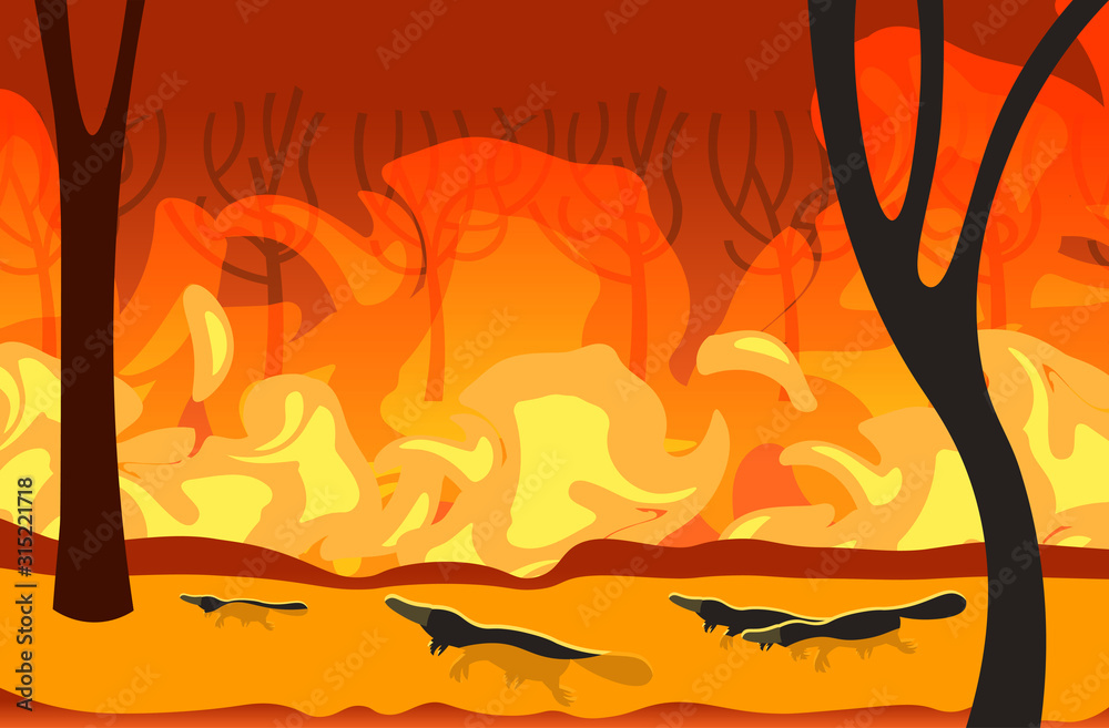 platypus silhouettes running from forest fires in australia animals dying in wildfire bushfire burning trees natural disaster concept intense orange flames horizontal vector illustration