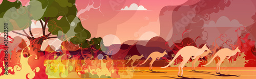 kangaroo running from forest fires in australia animals dying in wildfire bushfire burning trees natural disaster concept intense orange flames horizontal vector illustration