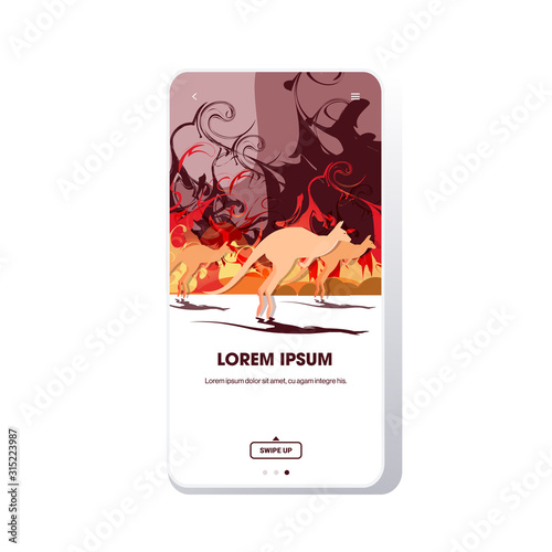 kangaroo running from forest fires in australia animals dying in wildfire bushfire burning trees natural disaster concept intense orange flames smartphone screen mobile app vector illustration