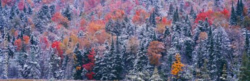 Snow and Autumn trees, Adirondack Mountains, New York State photo