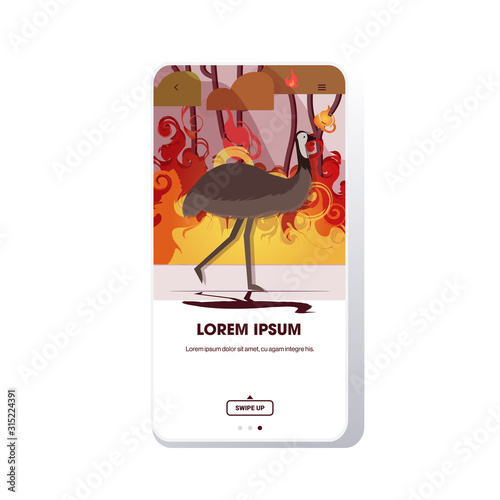 ostrich or emu running from forest fires in australia animals dying in wildfire bushfire burning trees natural disaster concept intense orange flames smartphone screen mobile app copy space vector