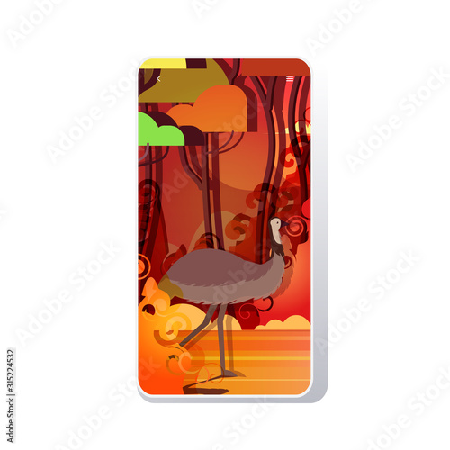 ostrich or emu running from forest fires in australia animals dying in wildfire bushfire burning trees natural disaster concept intense orange flames smartphone screen mobile app vector illustration