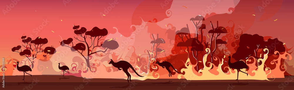 australian animals silhouettes running from forest fires in australia  wildfire bushfire burning trees natural disaster concept intense orange  flames horizontal vector illustration Stock Vector | Adobe Stock