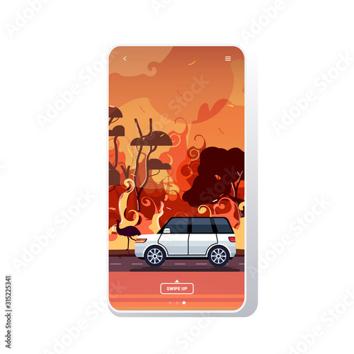 cars and animals escaping from forest fires in australia wildfire bushfire burning trees natural disaster evacuation concept intense orange flames smartphone screen mobile app vector illustration