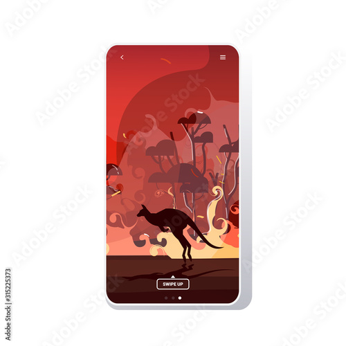 kangaroo running from forest fires in australia animals dying in wildfire bushfire burning trees natural disaster concept intense orange flames smartphone screen mobile app vector illustration
